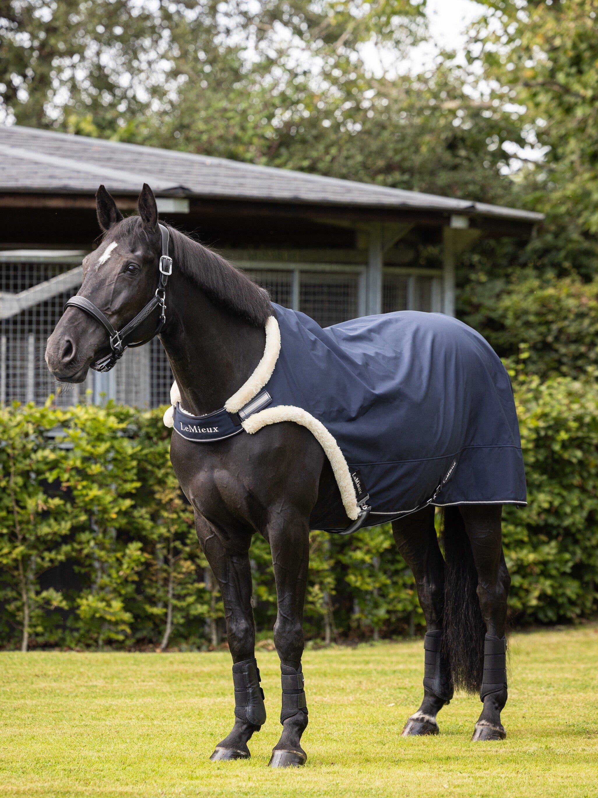 Lemieux Walker Rug