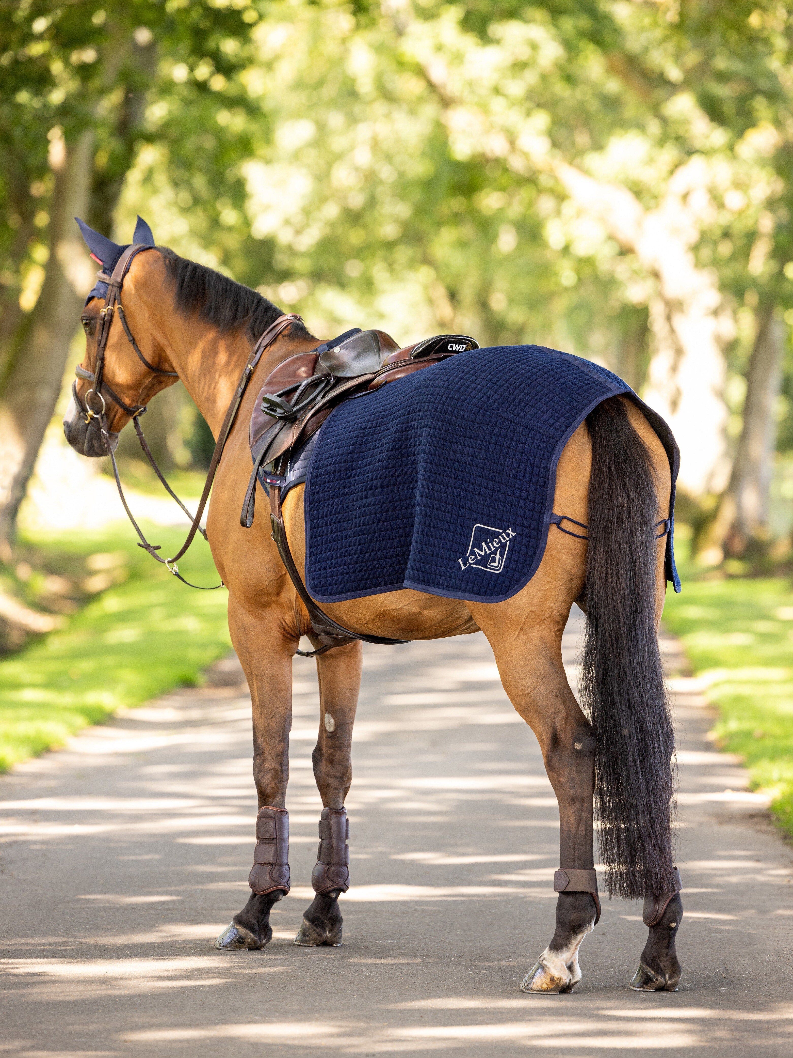 Lemieux Arika Clima-Tek Exercise Quarter Sheet