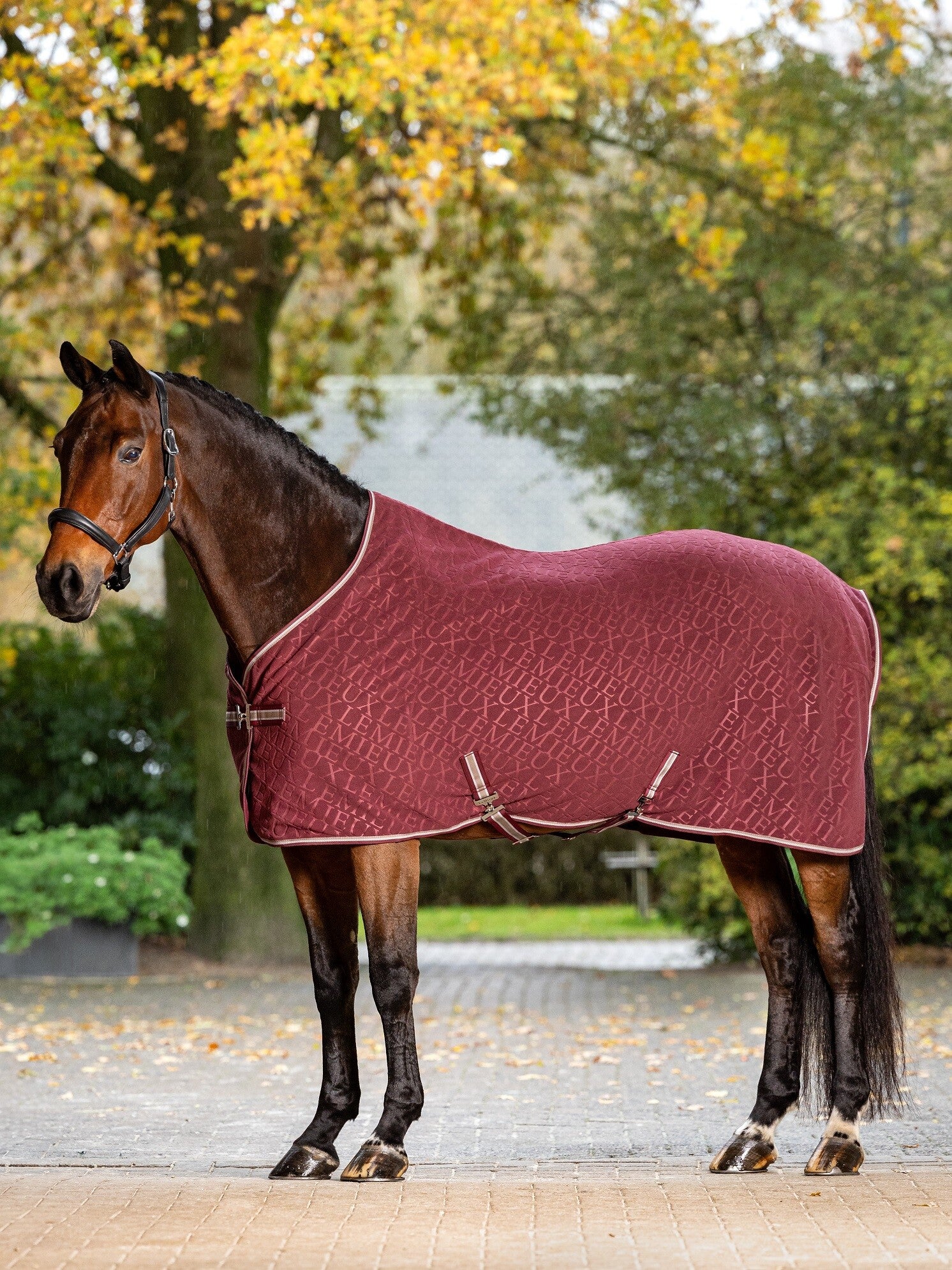 Le Mieux Arika Monogram Fleece Rug