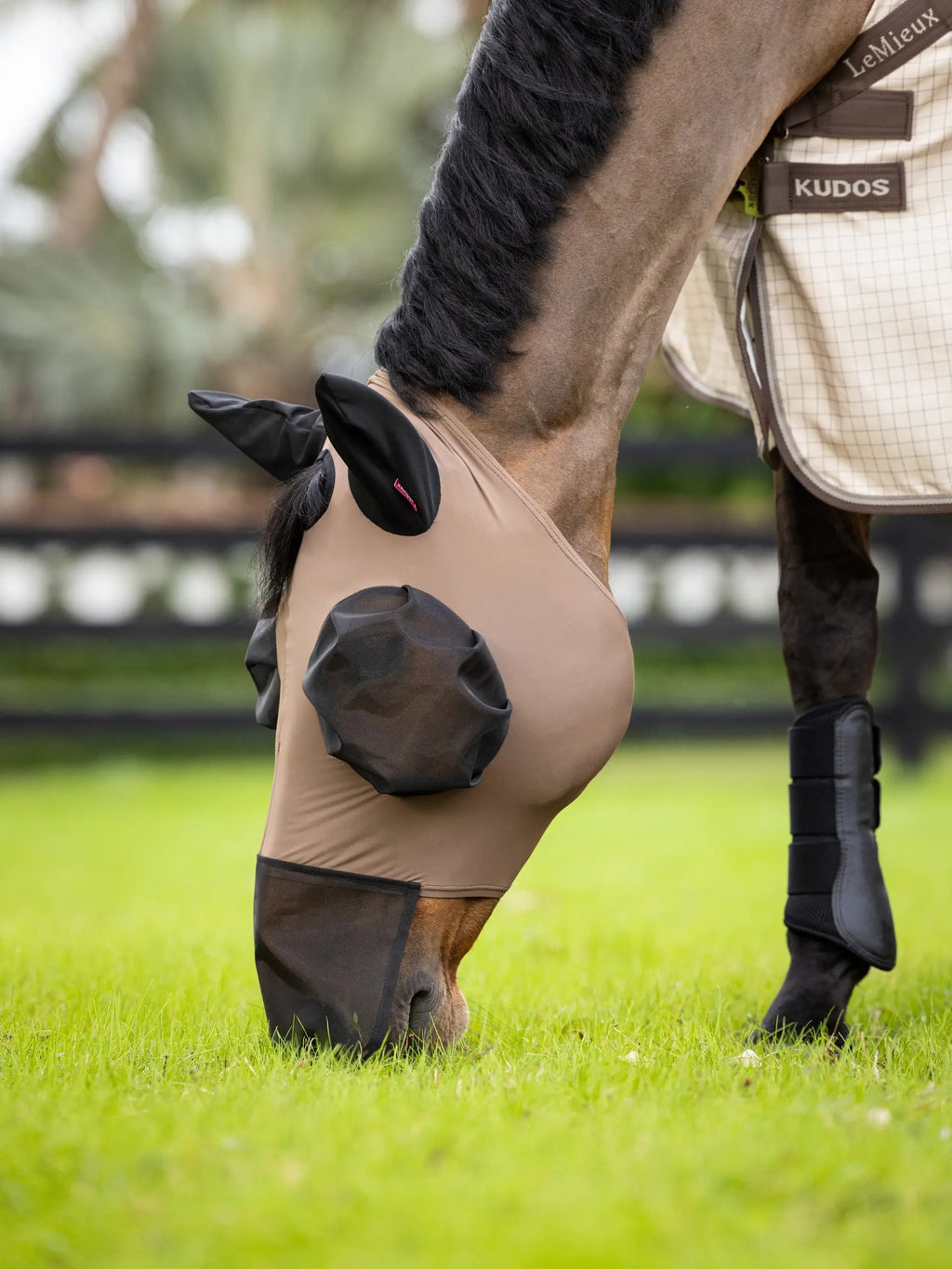 Lemieux Bug Relief Lycra Full Face Mask