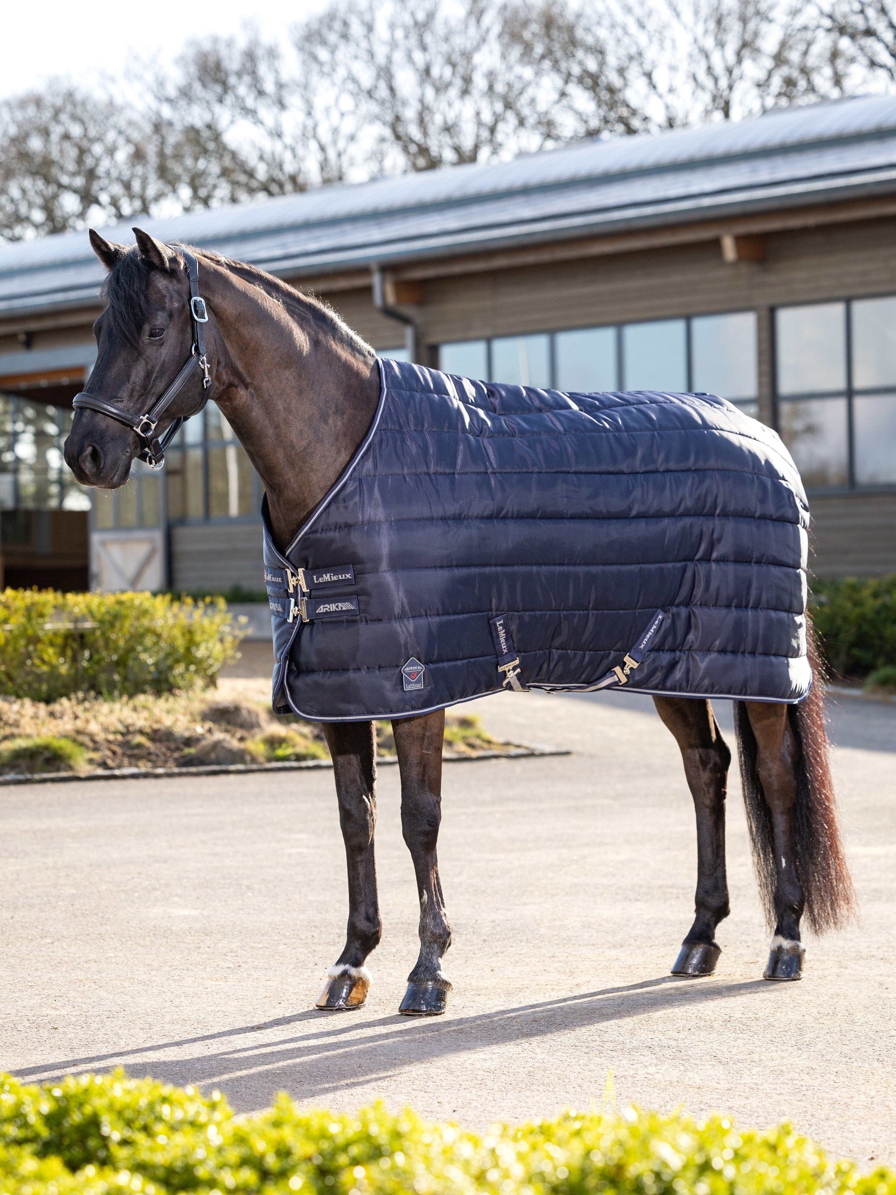 Le Mieux Arika Stable-Tek 350 g