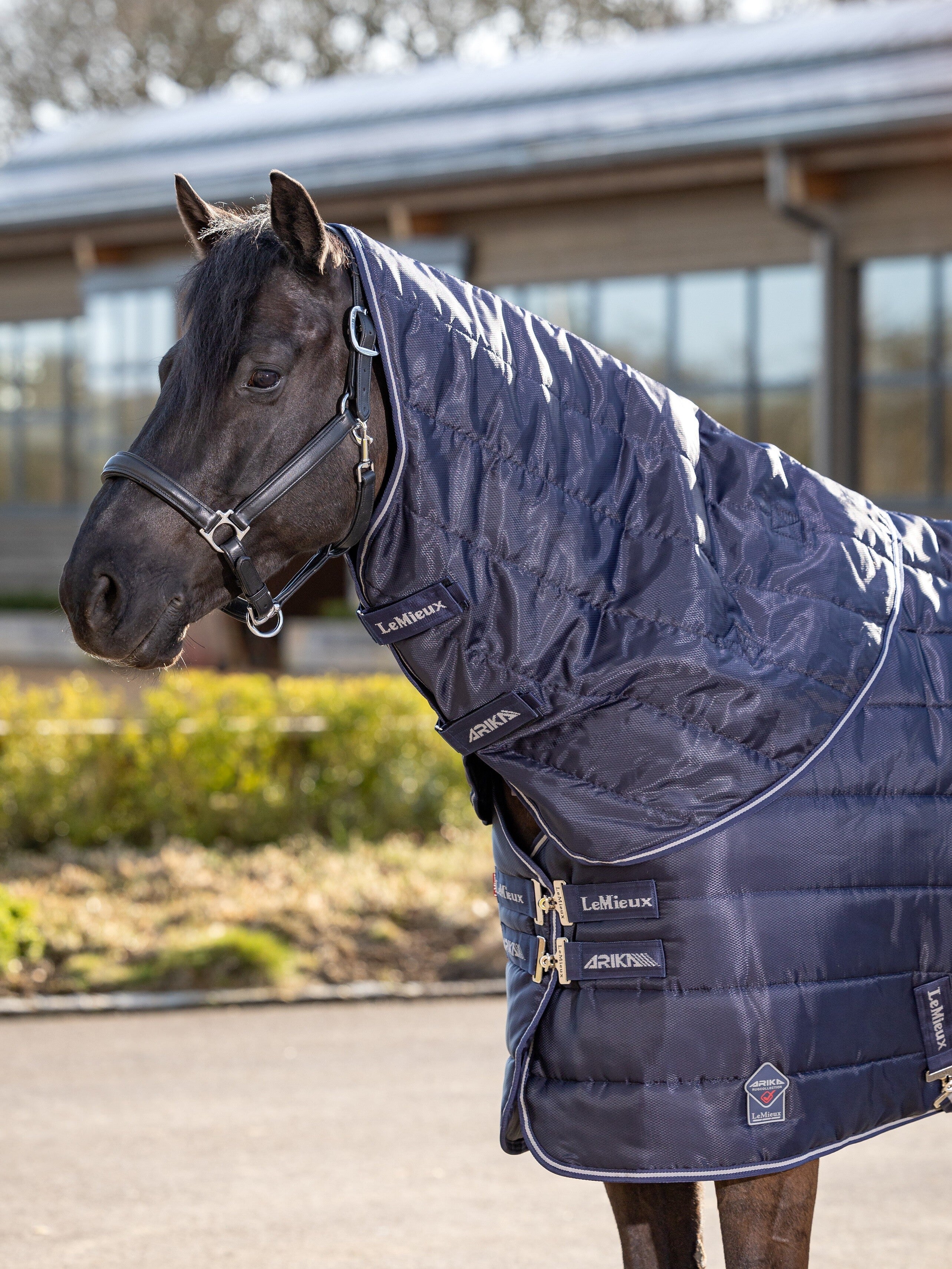 Le Mieux Arika Stable-Tek Neck Cover 100 g