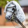 Le Mieux Hobby Horse Grackle Bridle