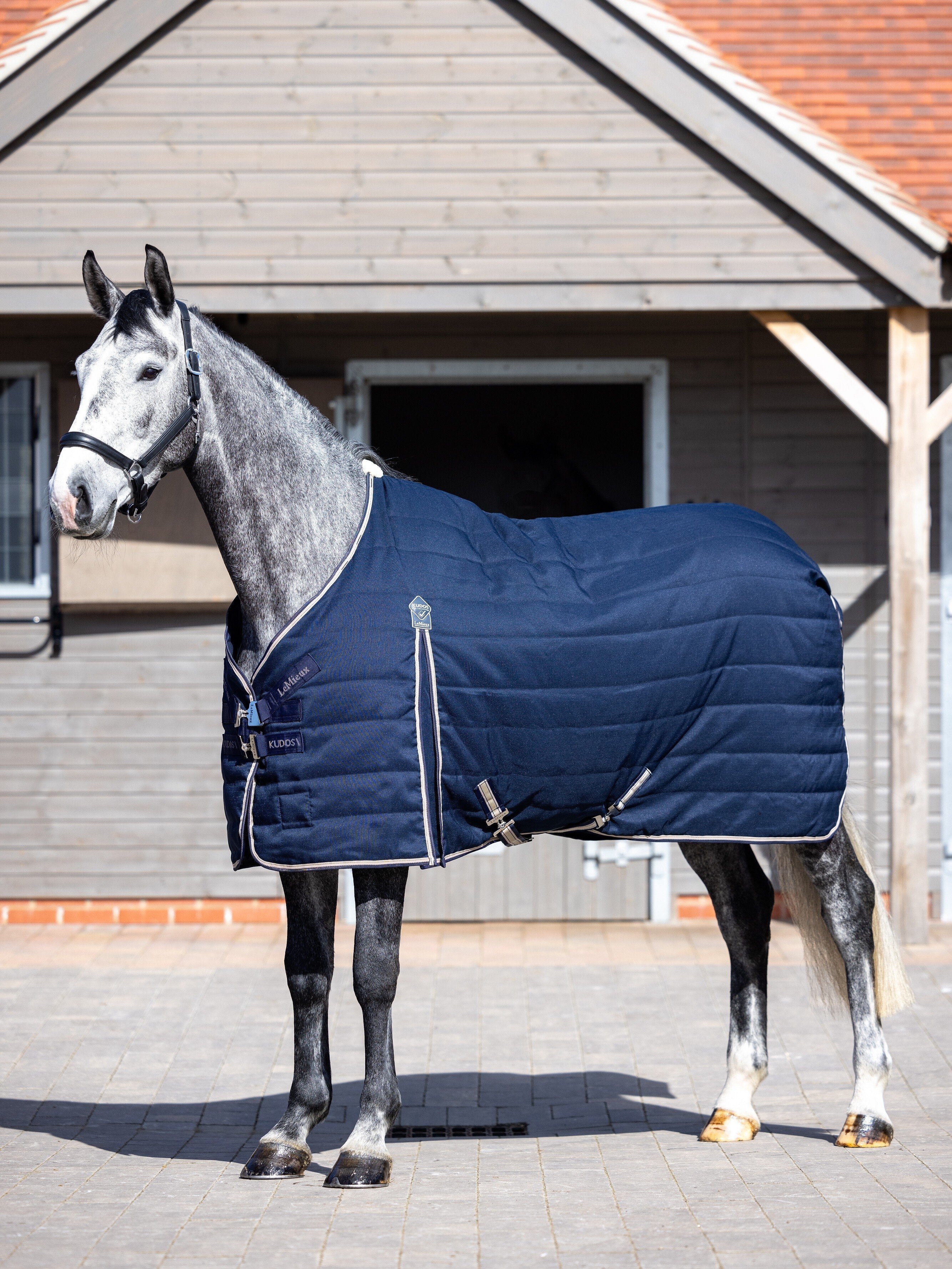 Lemieux Kudos Stable Rug 50 g