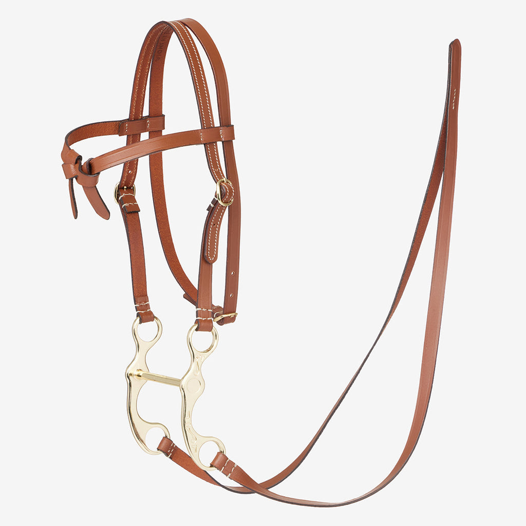 Lemieux Hobby Horse Western Bridle