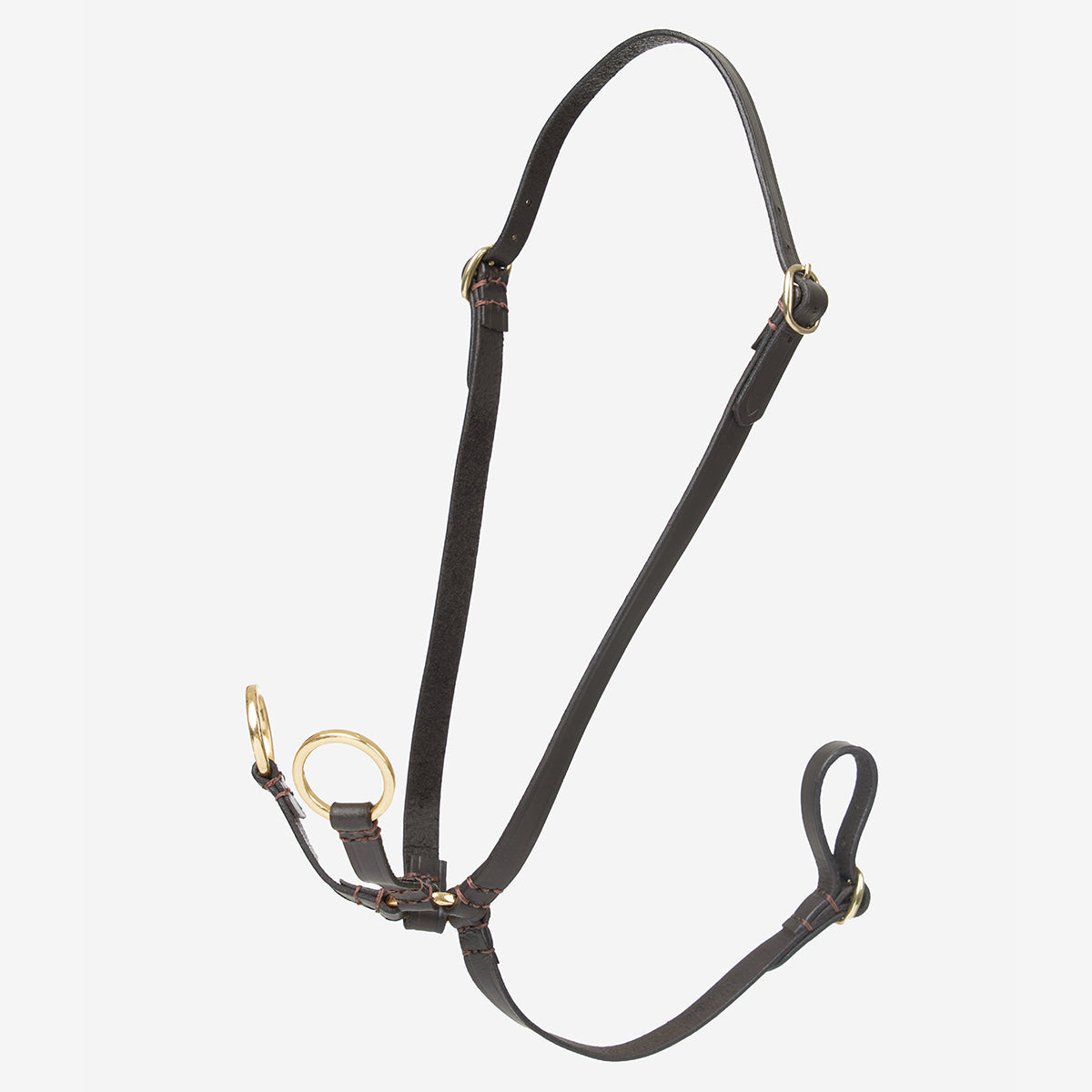 Lemieux Hobby Horse Running Martingale