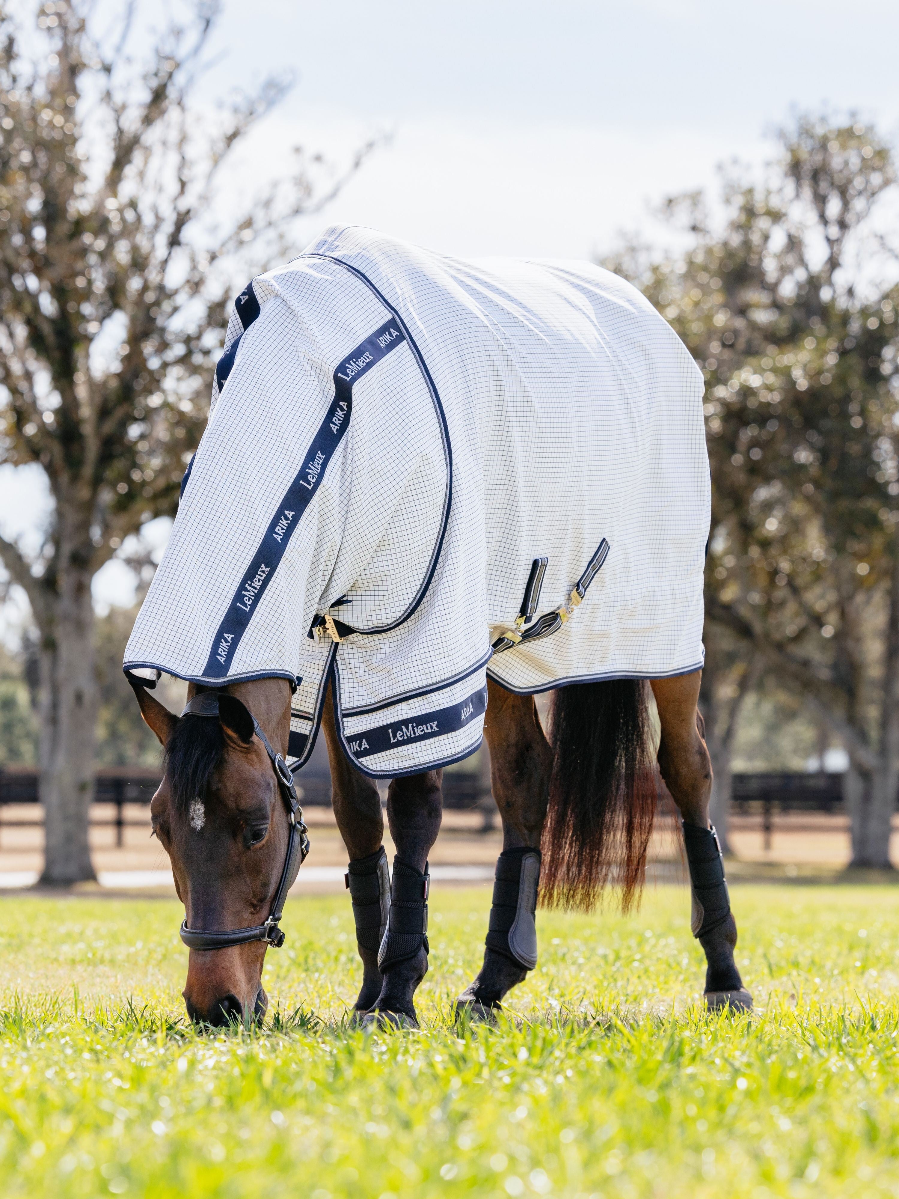 Le Mieux Arika Field Rug