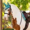 Le Mieux Mini Fly Hood
