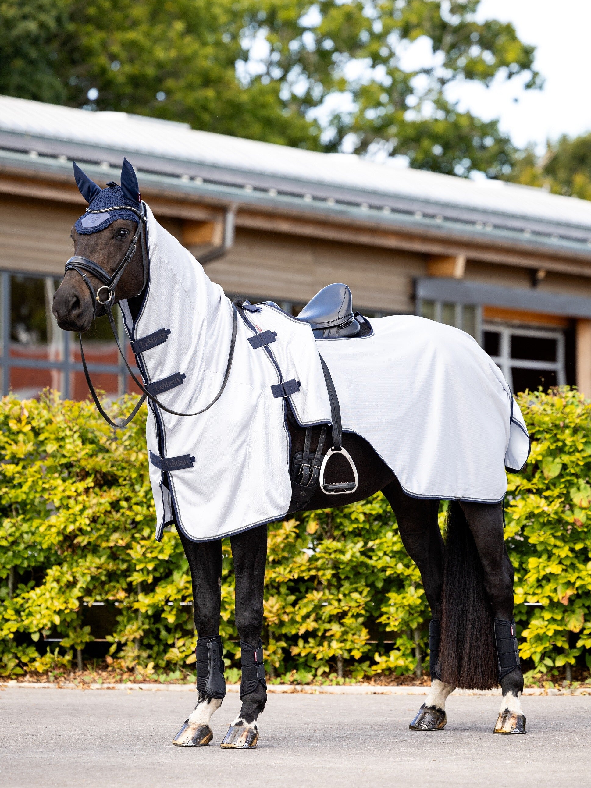Lemieux Ride On Fly Rug