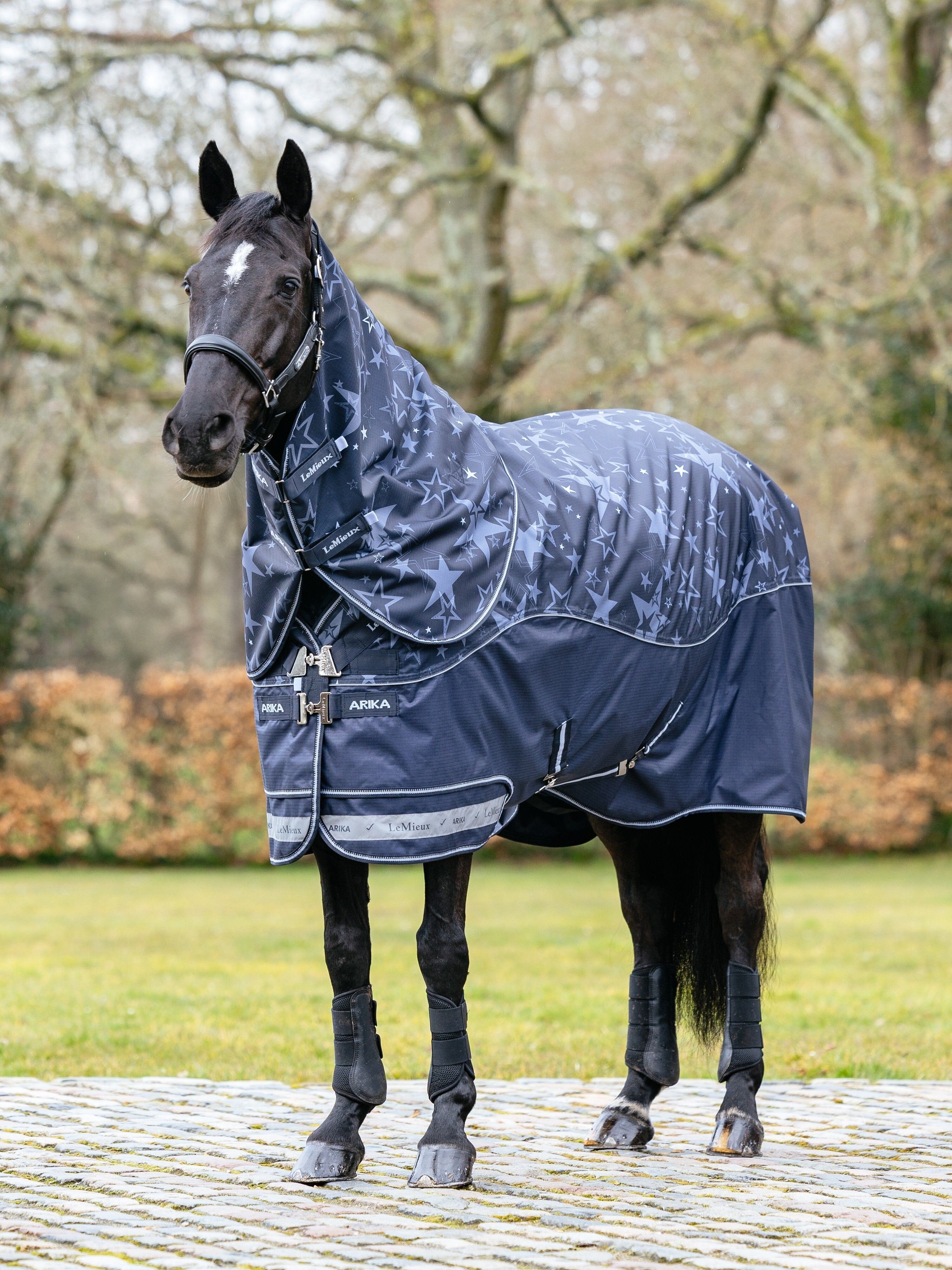 Lemieux Arika Star 200G Turnout