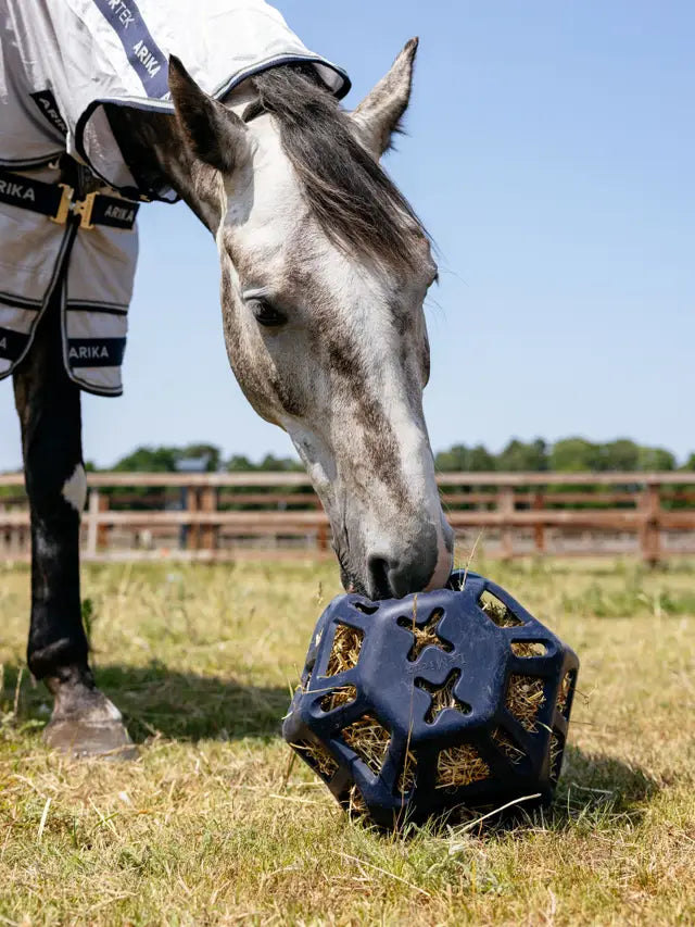 Lemieux Hay Ball