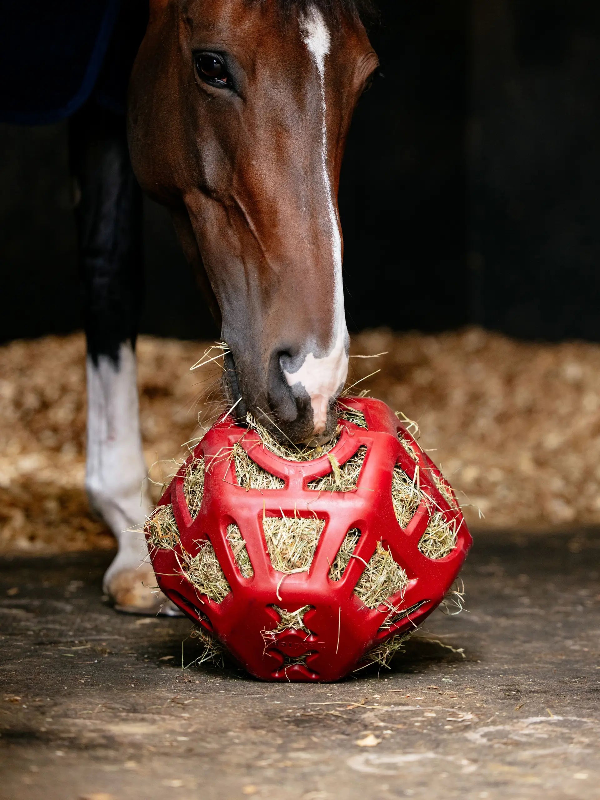 Lemieux Hay Ball
