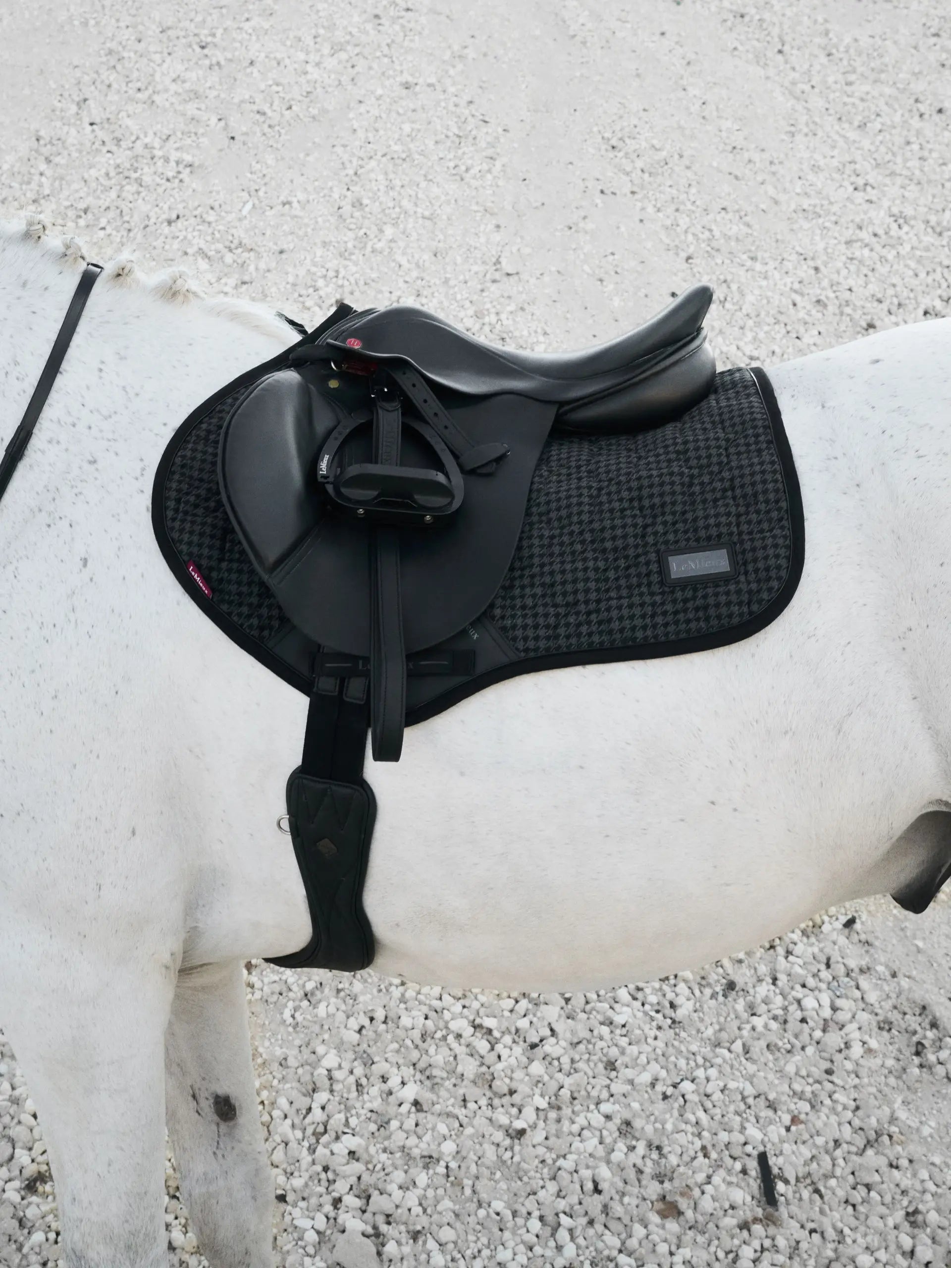 Lemieux Aspen Cc Square