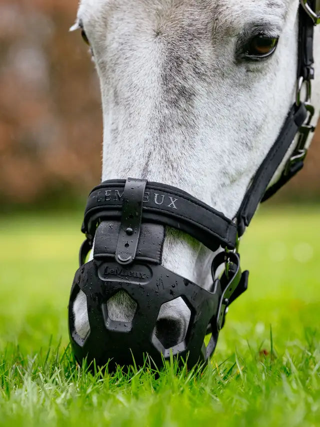 Lemieux Noma Grazing Muzzle