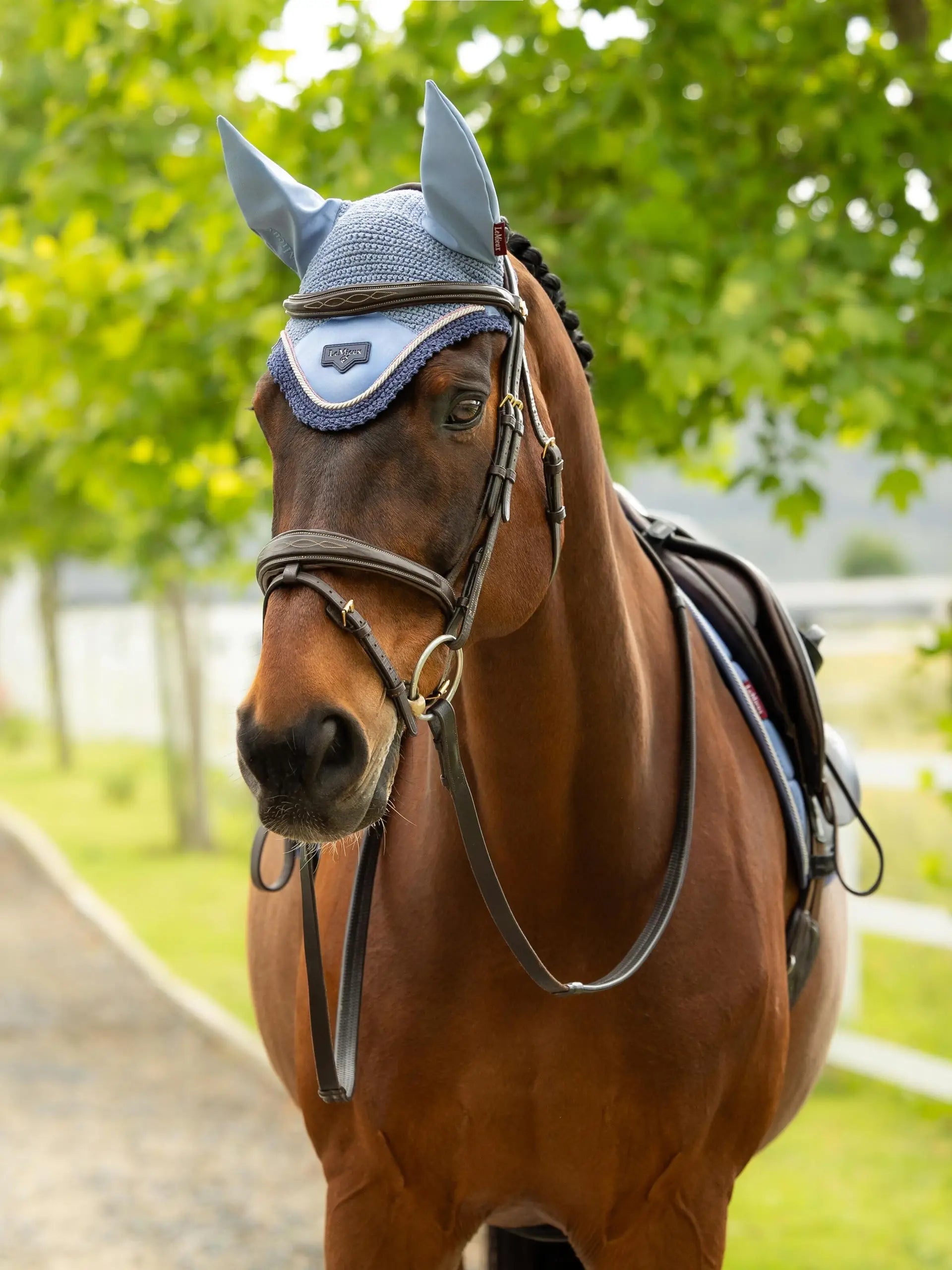 Lemieux Loire Fly Hood