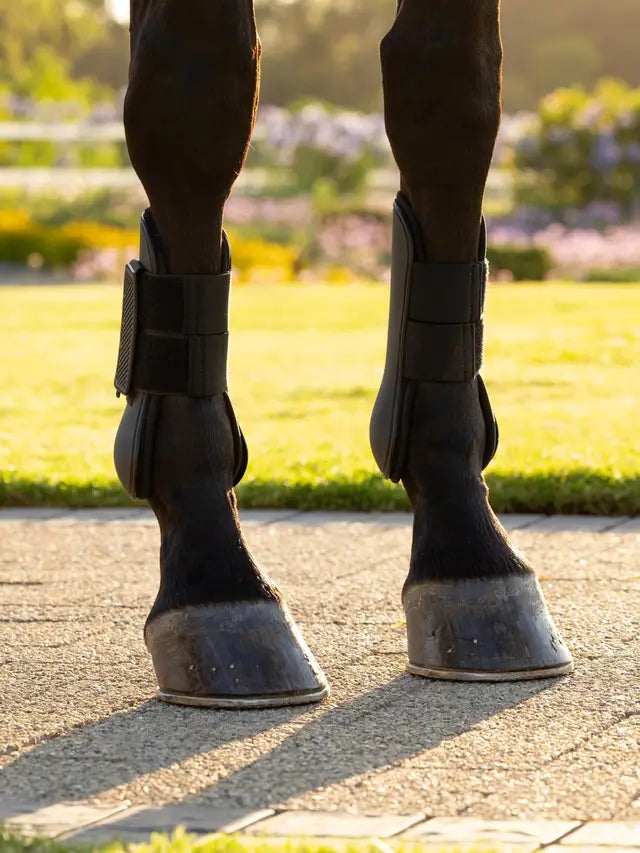 Lemieux Arika Tendon Boot