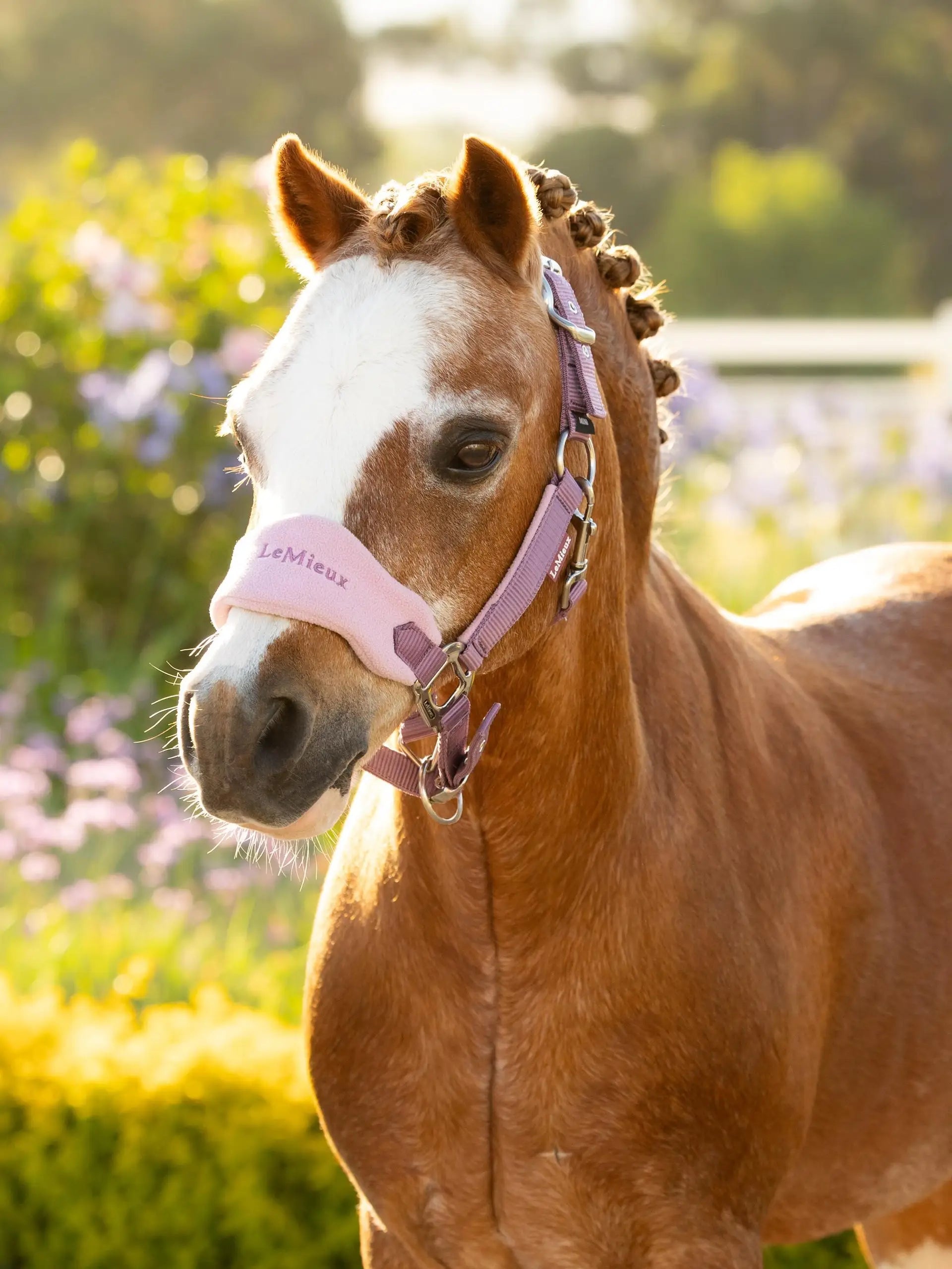 Lemieux Mini Vogue Headcollar & Leadrope