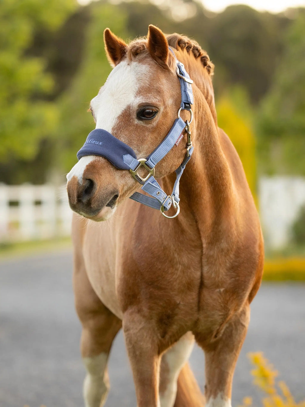 Lemieux Mini Vogue Headcollar & Leadrope