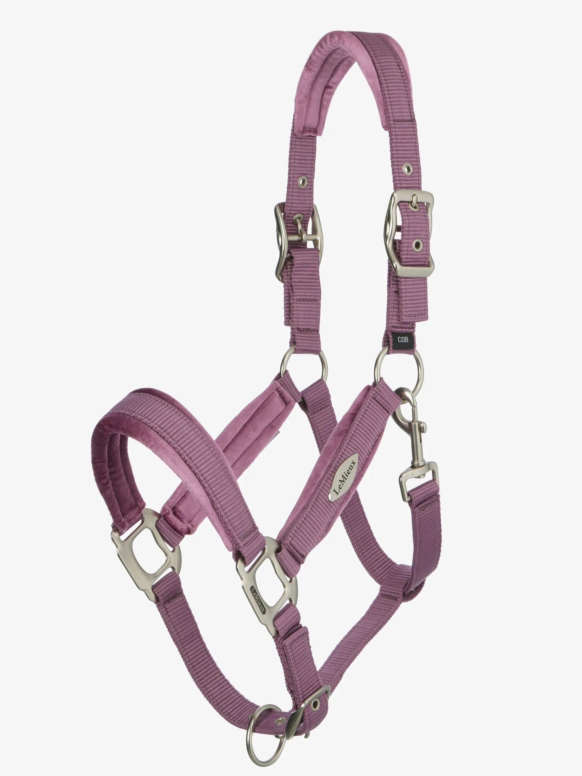 Lemieux Versailles Headcollar