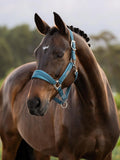 Lemieux Versailles Headcollar