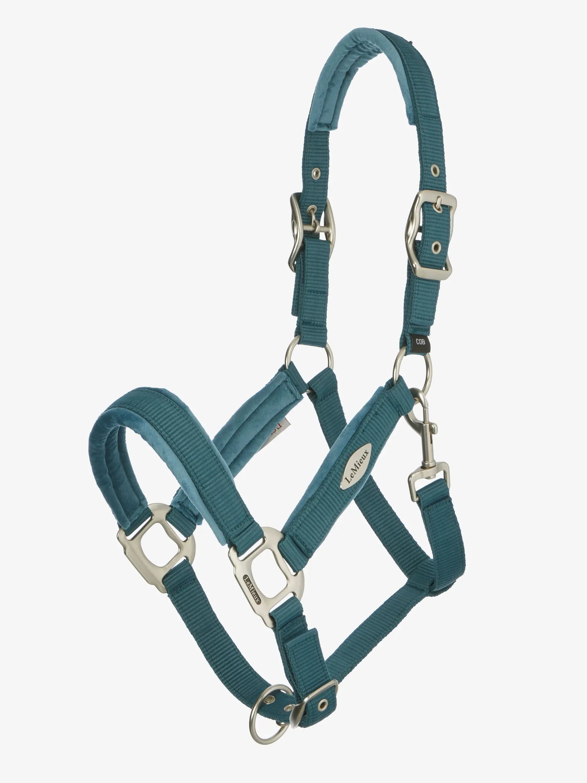 Lemieux Versailles Headcollar