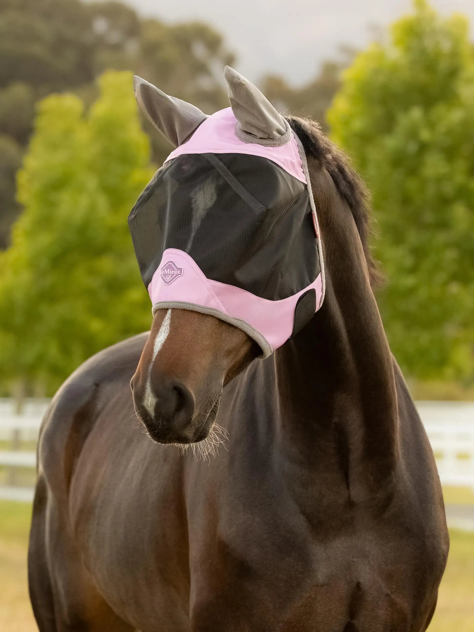 Lemieux Visor-Tek Half Fly Mask