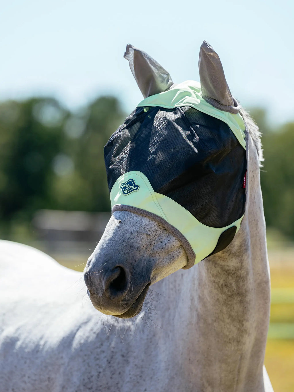 Lemieux Visor-Tek Half Fly Mask