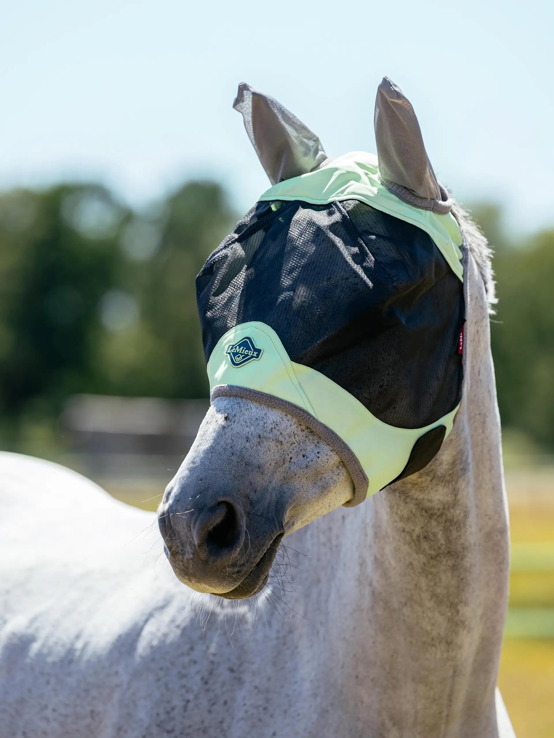 Lemieux Visor-Tek Half Fly Mask