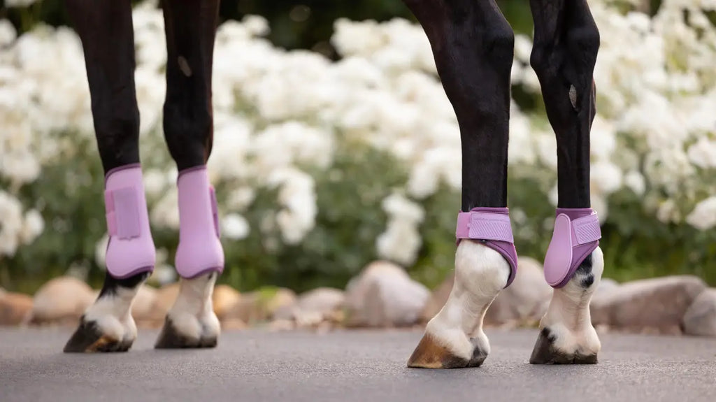 Lemieux Arika Fetlock Boot