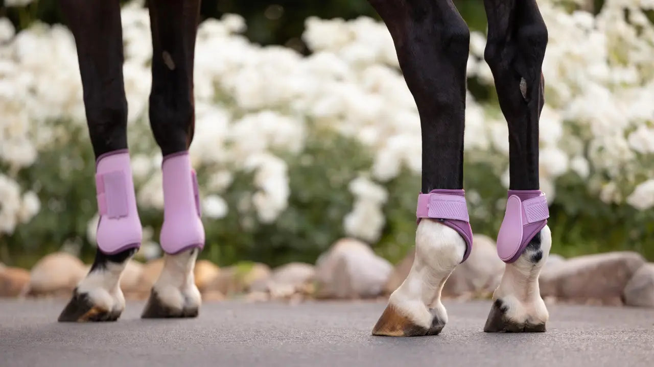 Lemieux Arika Fetlock Boot