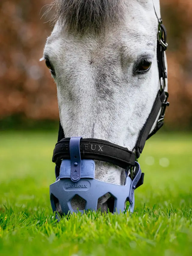 Lemieux Noma Grazing Muzzle