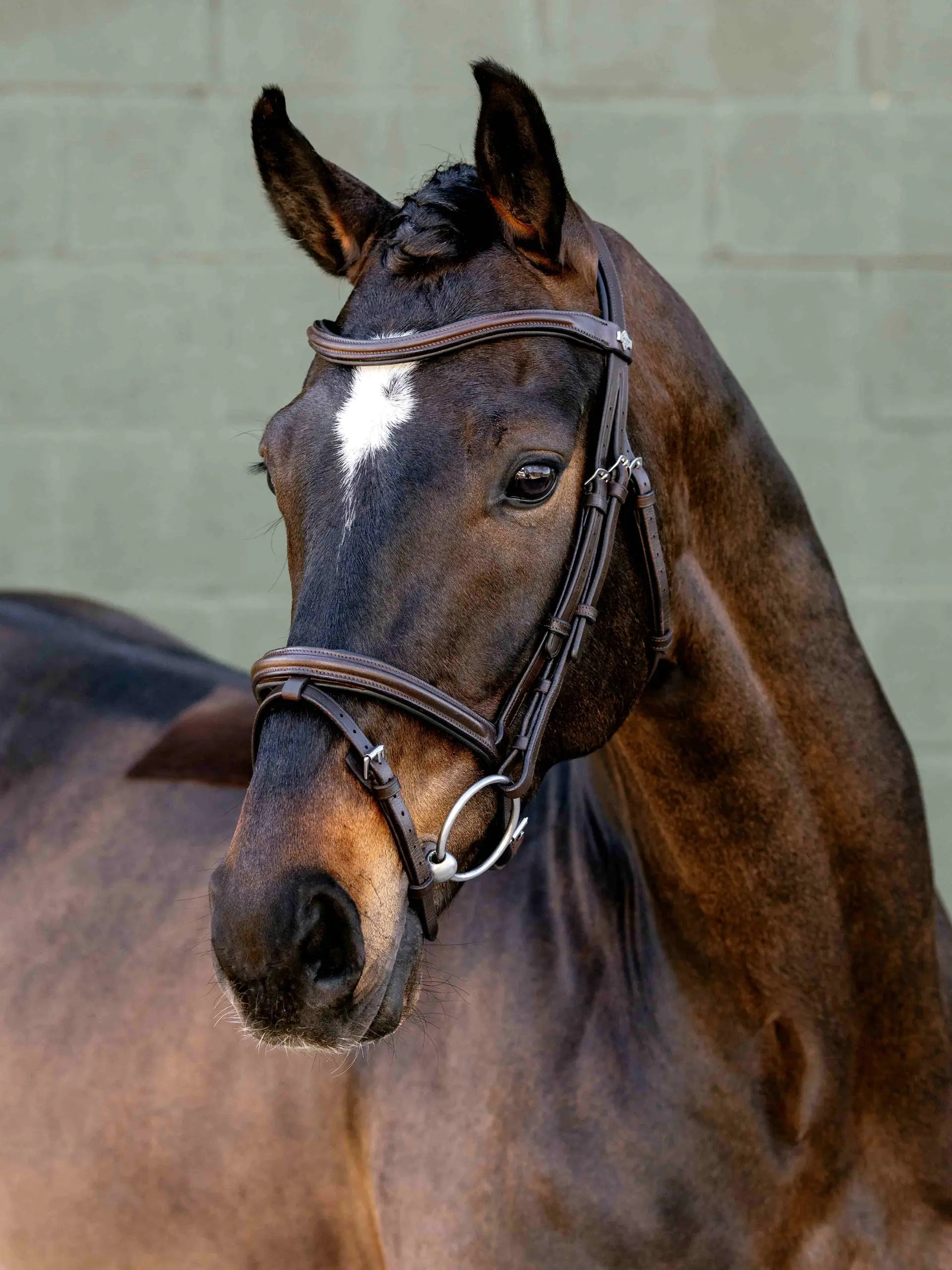 Lemieux Arika Anatomic Flash Bridle