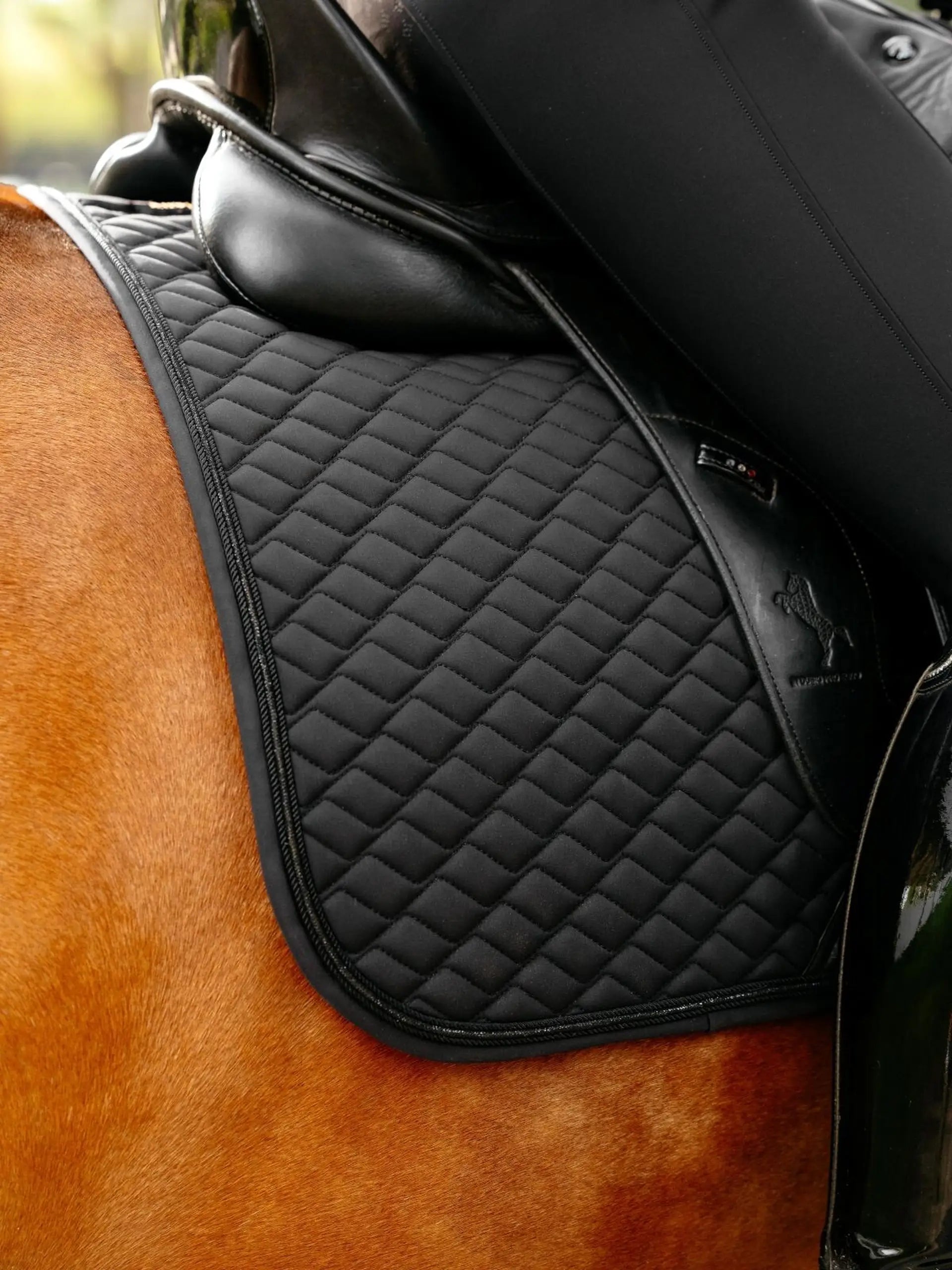 Lemieux Brilliance Dressage Square