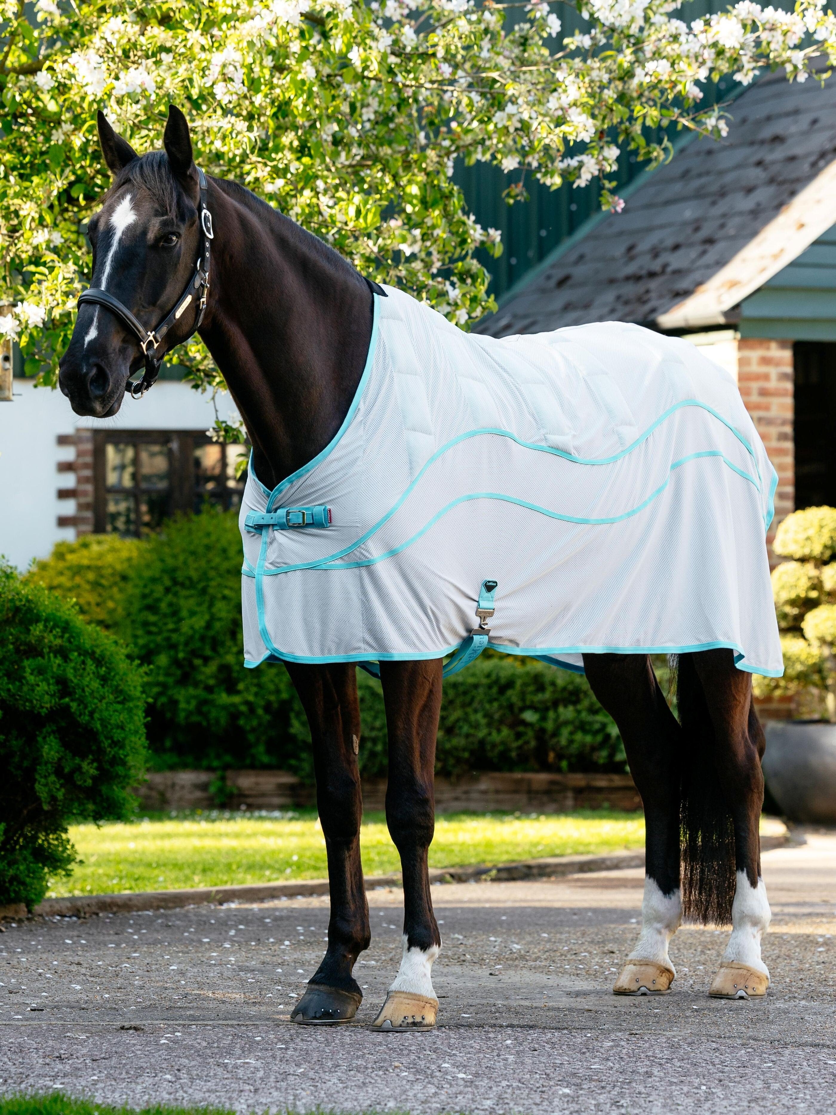 Lemieux Crystal Cooler Rug