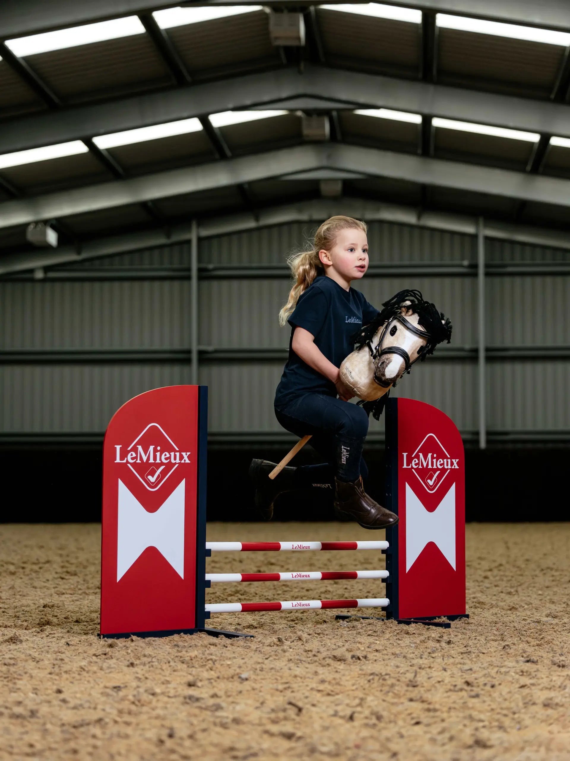 Hobby Horse Jump