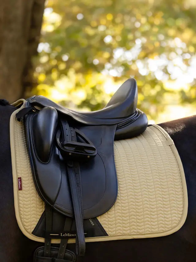 Lemieux Essence Dressage Square