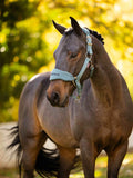 Lemieux Breakaway Vogue Headcollar