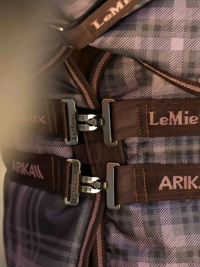 Lemieux Arika Check Stable Rug & Neck 200g