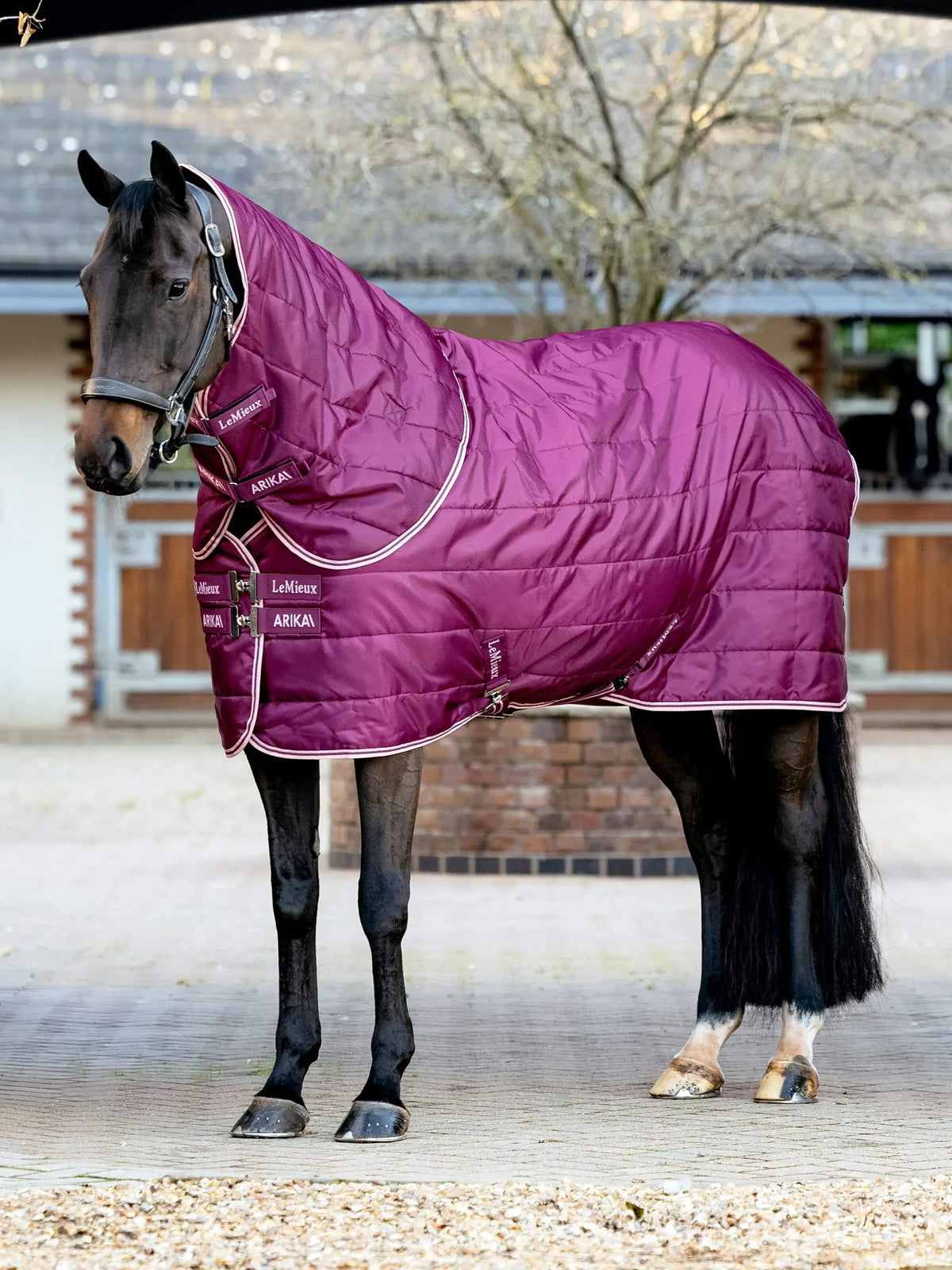Lemieux Arika Stable-Tek With Neck 200G