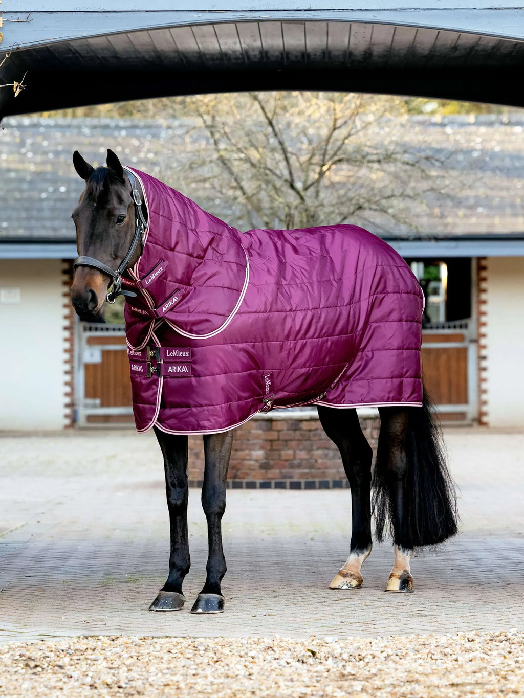 Lemieux Arika Stable-Tek With Neck 200G