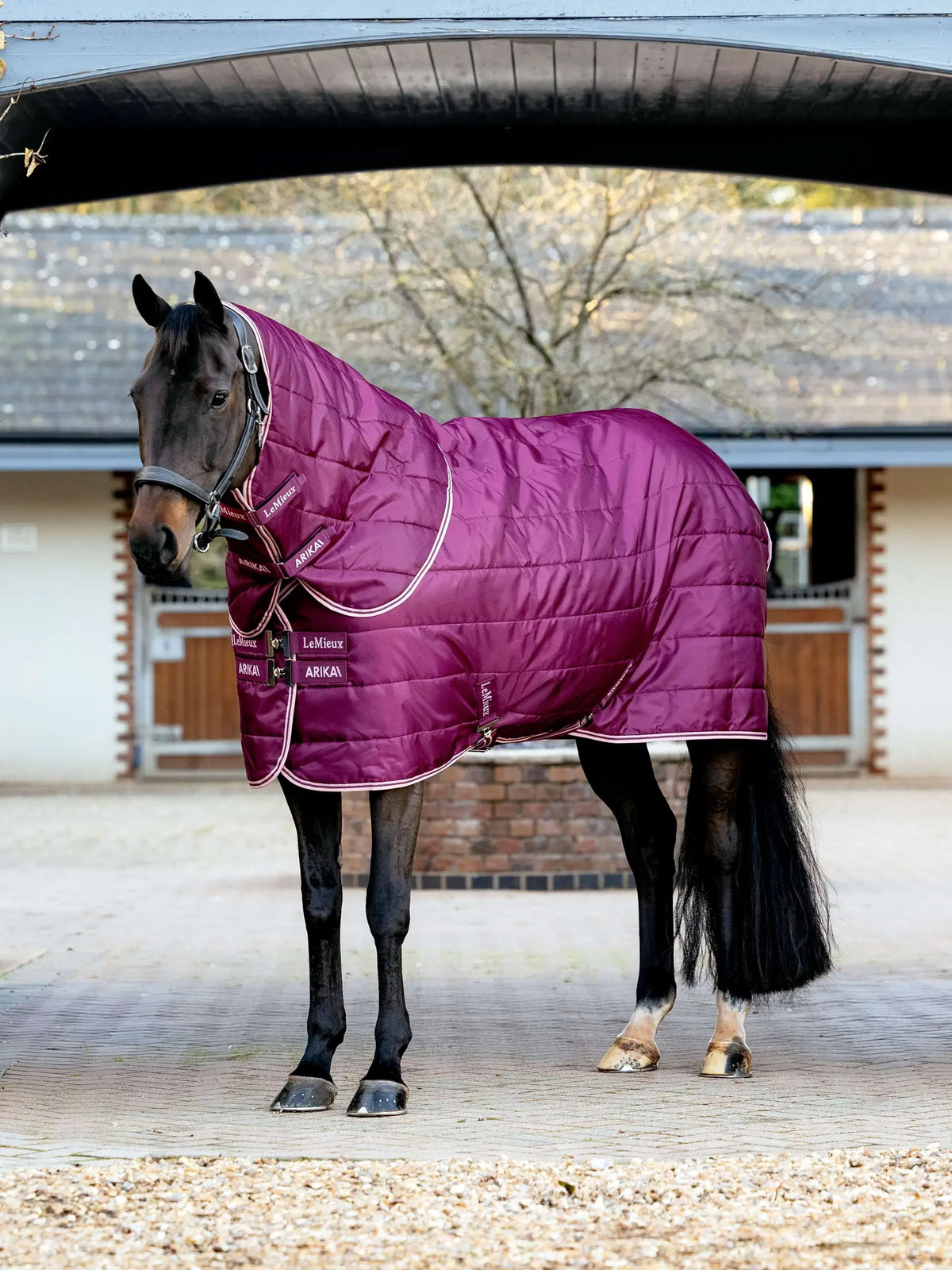 Lemieux Arika Stable-Tek With Neck 200G