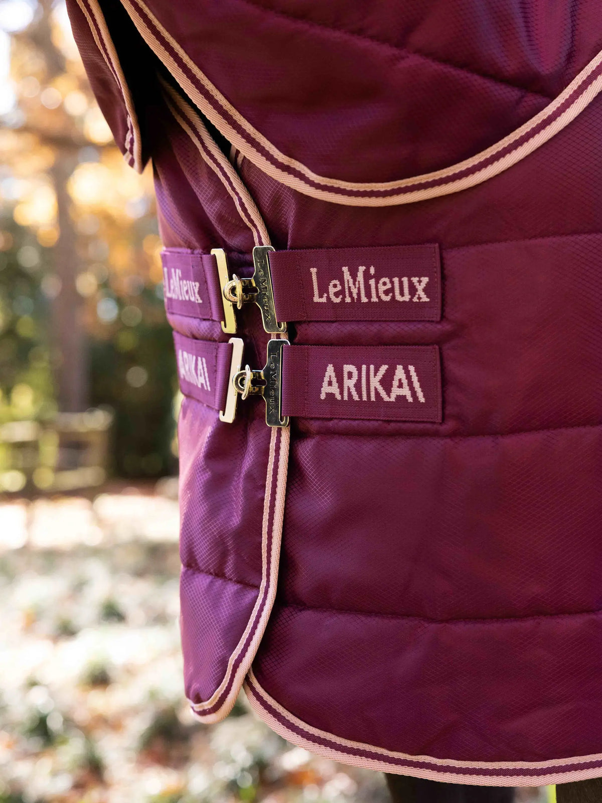 Lemieux Arika Stable-tek With Neck 100g