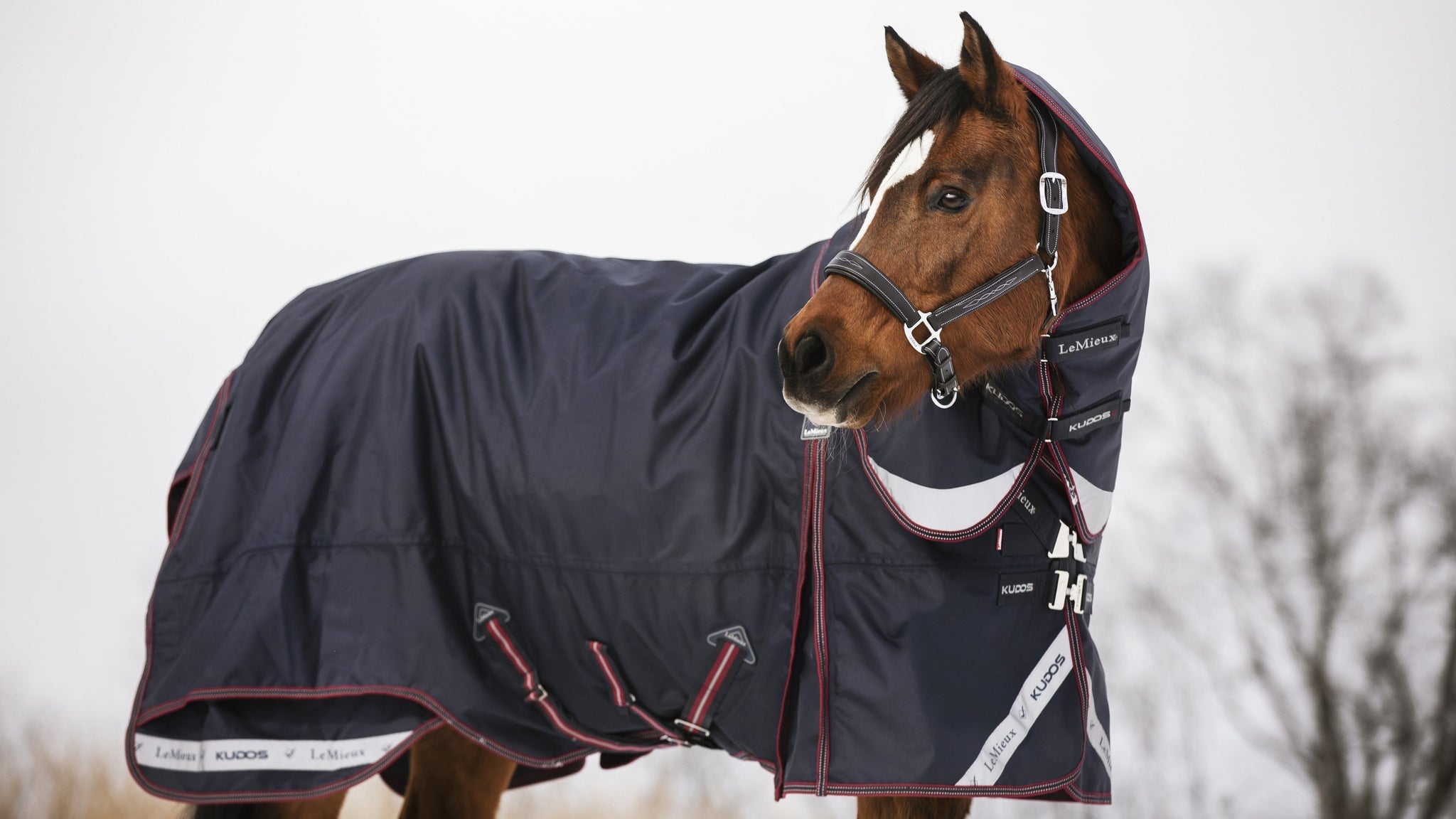 Le Mieux Kudos Turnout & Neck 50 g