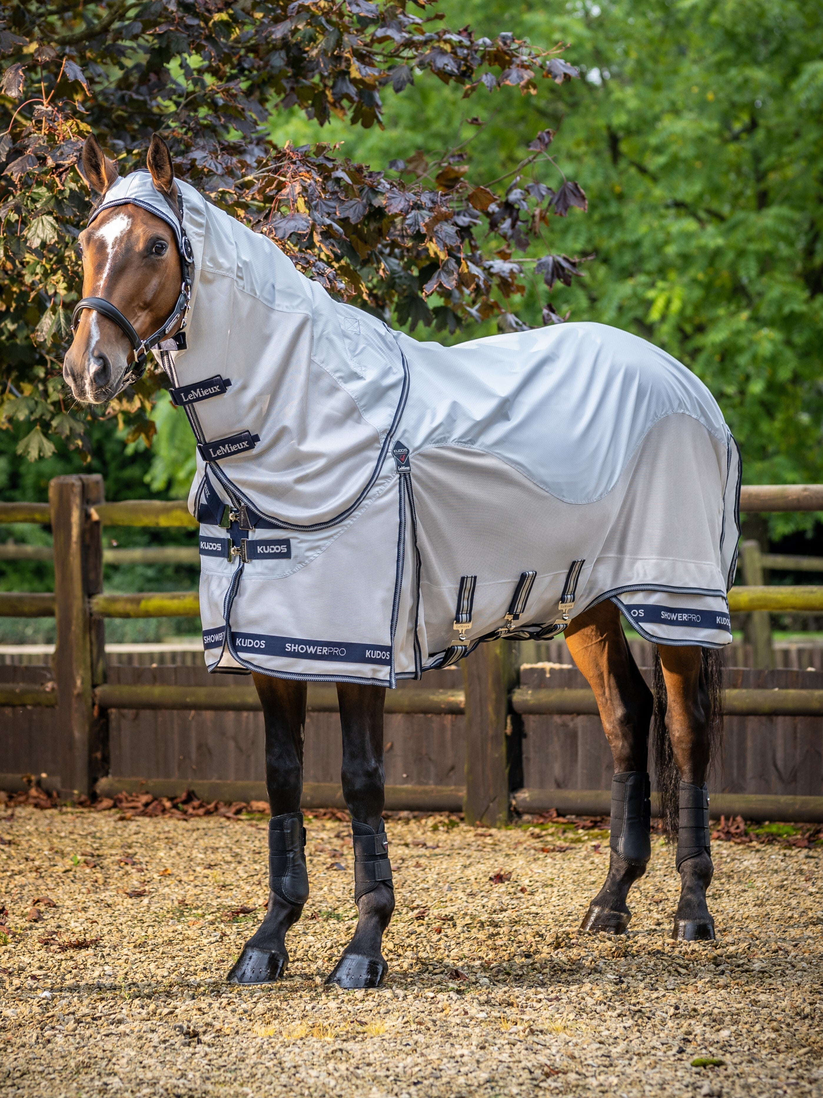 Lemieux Kudos Shower Pro Waterproof Fly Rug