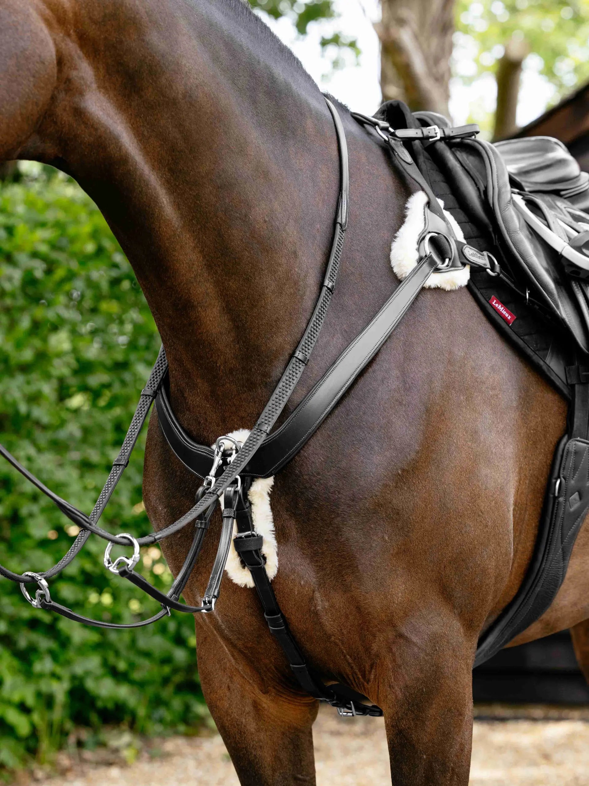 Lemieux Kudos 5 Point Bridge Breastplate