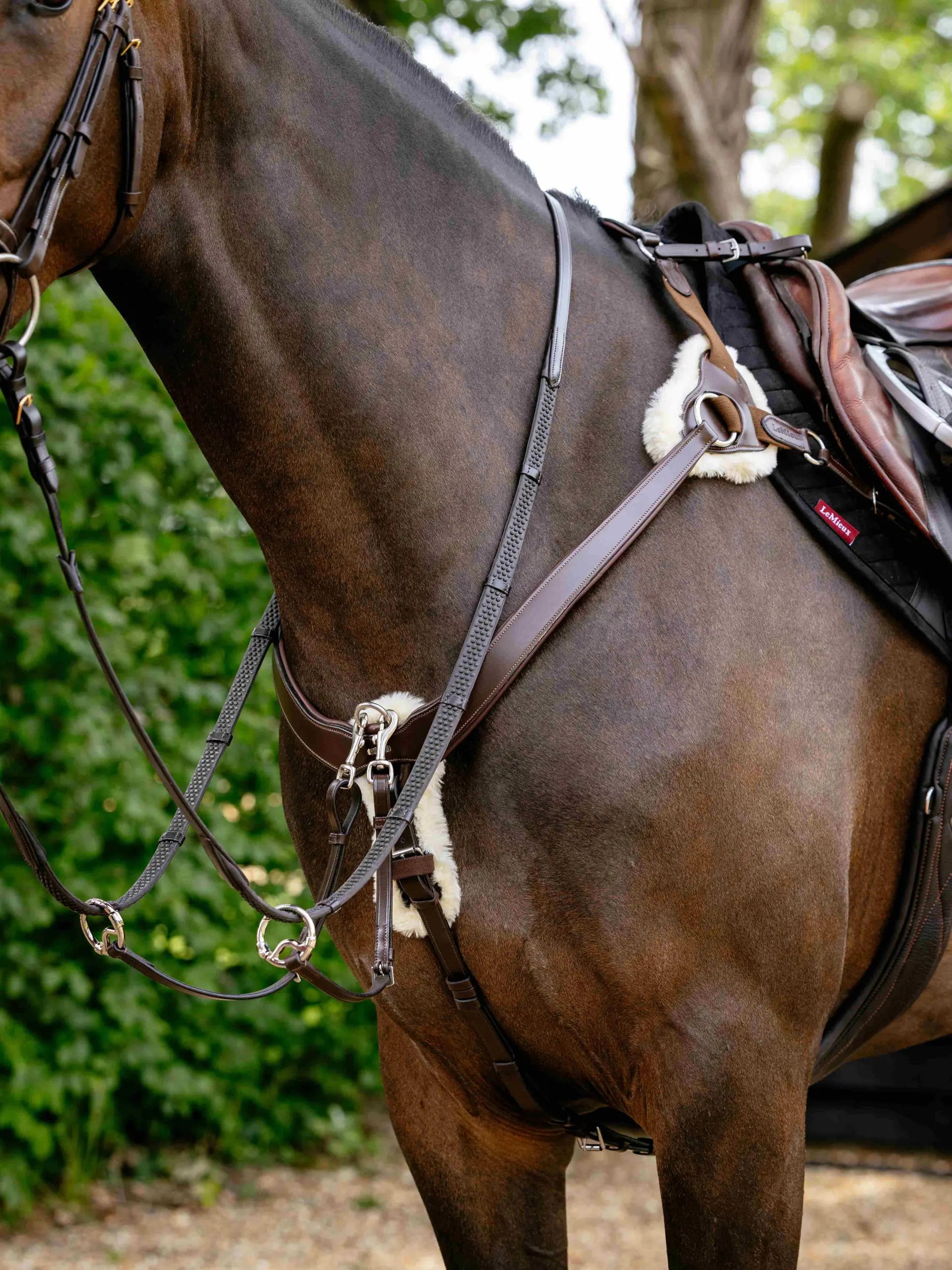 Lemieux Kudos 5 Point Bridge Breastplate