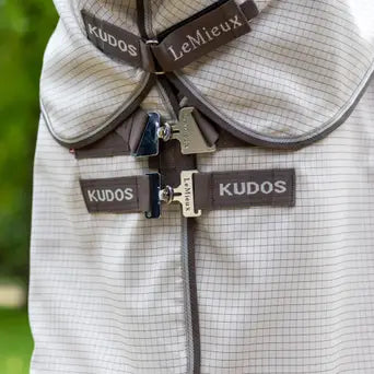 Lemieux Kudos Field Rug