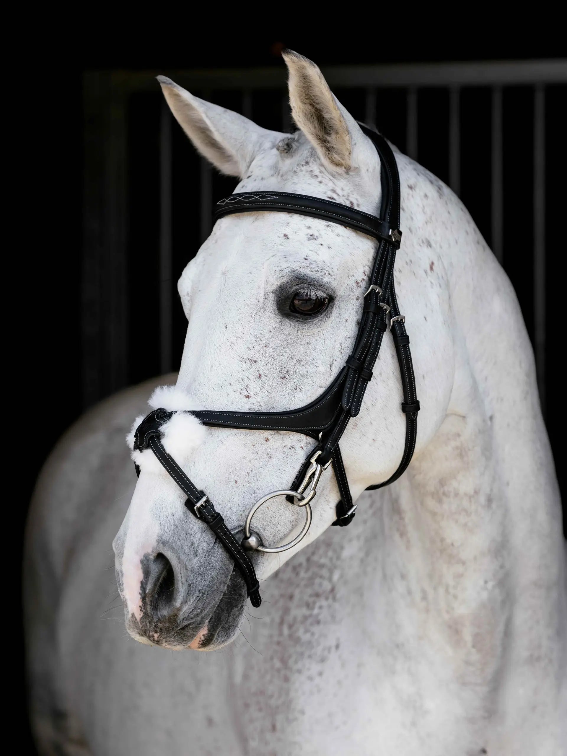 Lemieux Kudos Grackle Work Bridle