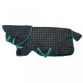 Amigo Pony Plus Turnout Rug 50 g