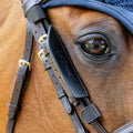 Lemieux Leather Bridle Blinkers